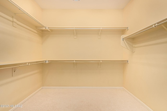 spacious closet with carpet