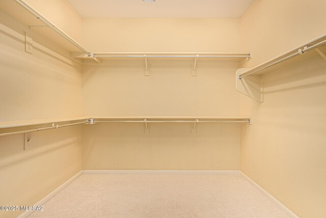 60782 E Arroyo Vista Dr, Oracle, AZ 85623 - walk in closet featuring carpet