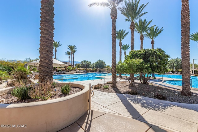 view of pool with a patio