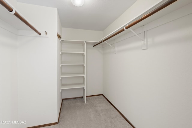 walk in closet featuring light colored carpet