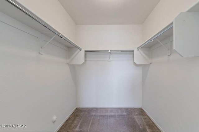 walk in closet with carpet floors