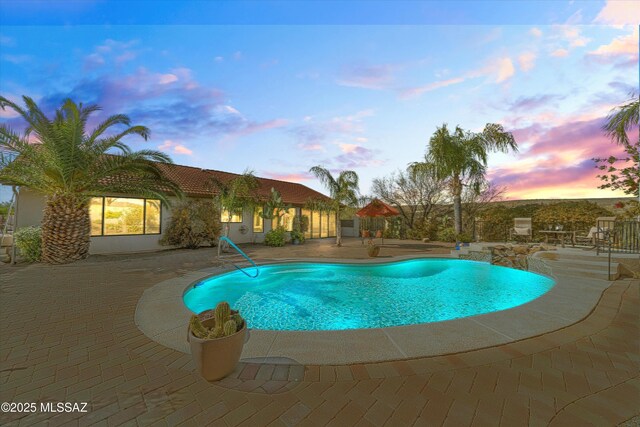 view of swimming pool with a patio area