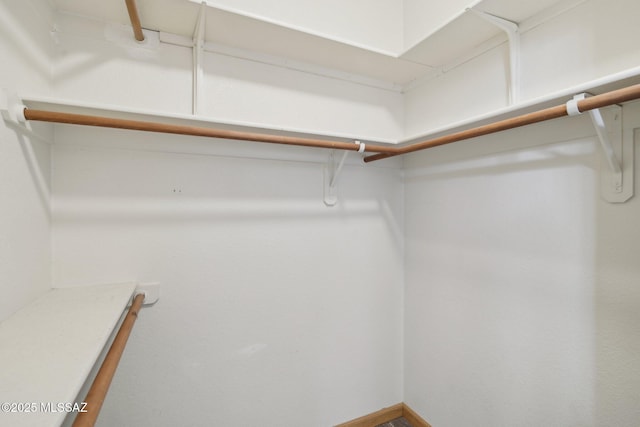 view of spacious closet