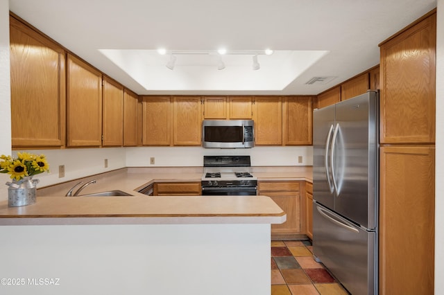 kitchen featuring sink, stainless steel appliances, kitchen peninsula, and a raised ceiling