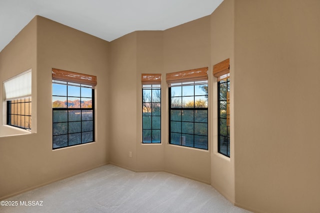 spare room with light colored carpet