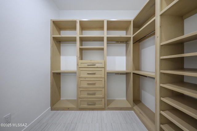 view of spacious closet