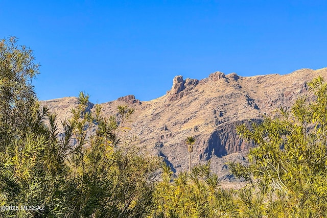 view of mountain feature