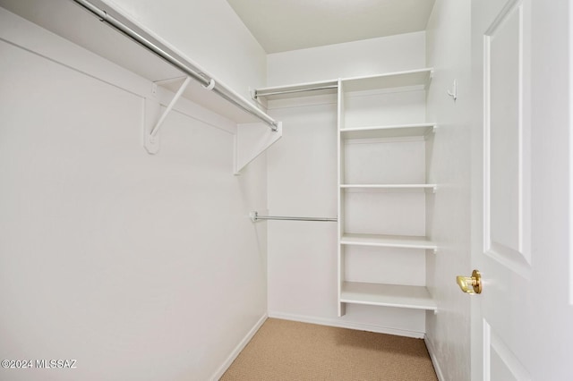 walk in closet with light colored carpet