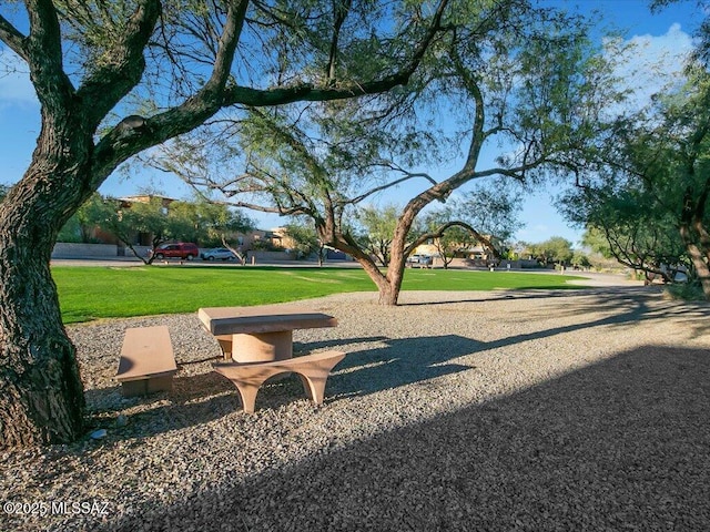 view of community featuring a lawn