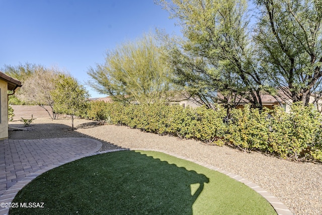 view of yard with a patio