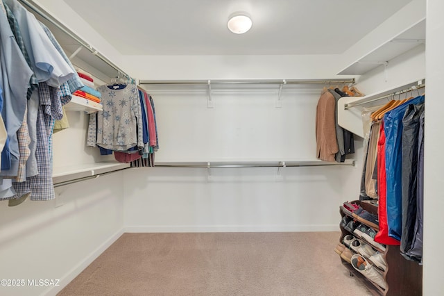 walk in closet featuring light carpet