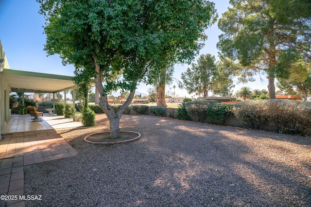 view of yard featuring a patio area