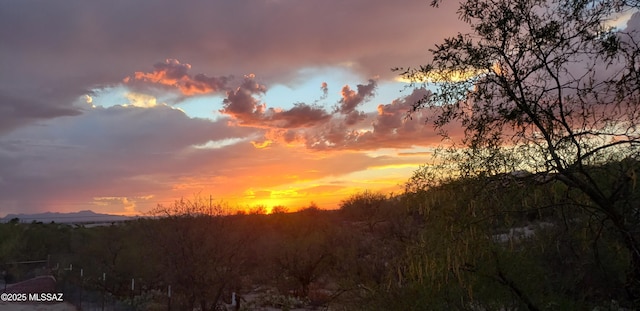 view of nature at dusk