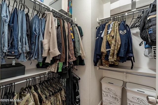 view of spacious closet