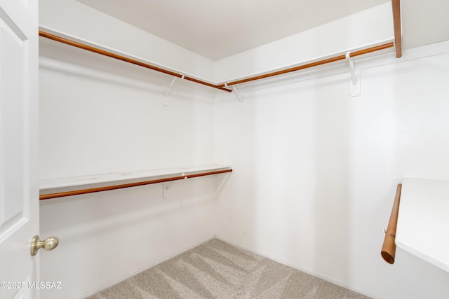 walk in closet featuring carpet