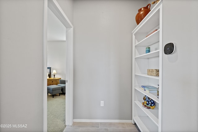 spacious closet with light carpet