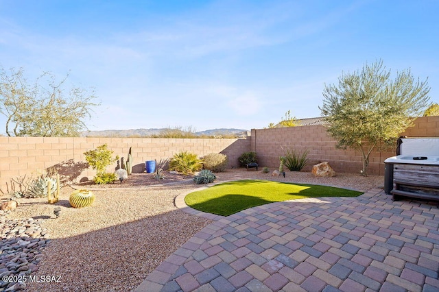 view of yard featuring a patio area