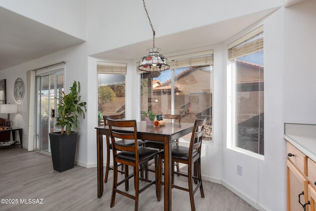 dining room with light hardwood / wood-style floors