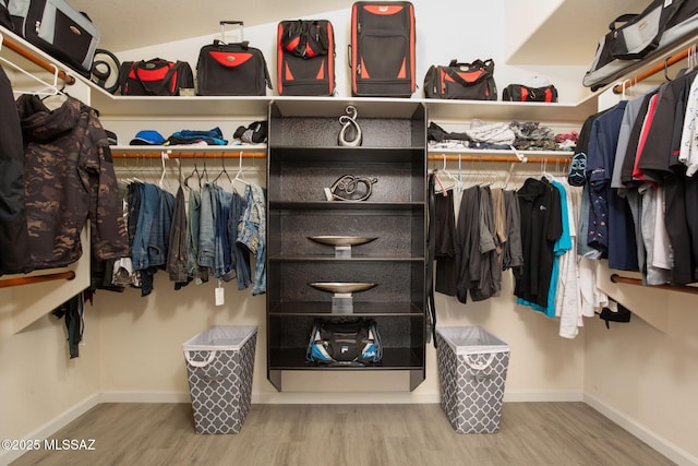 walk in closet featuring hardwood / wood-style flooring