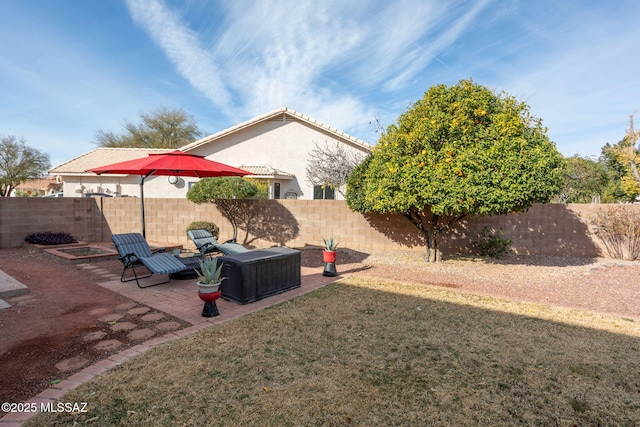 view of yard featuring a patio