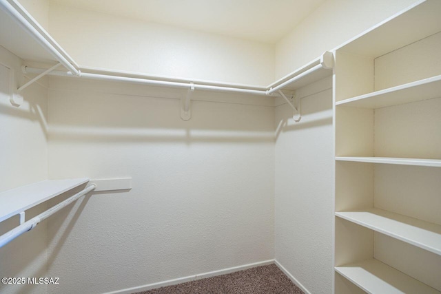 walk in closet with carpet