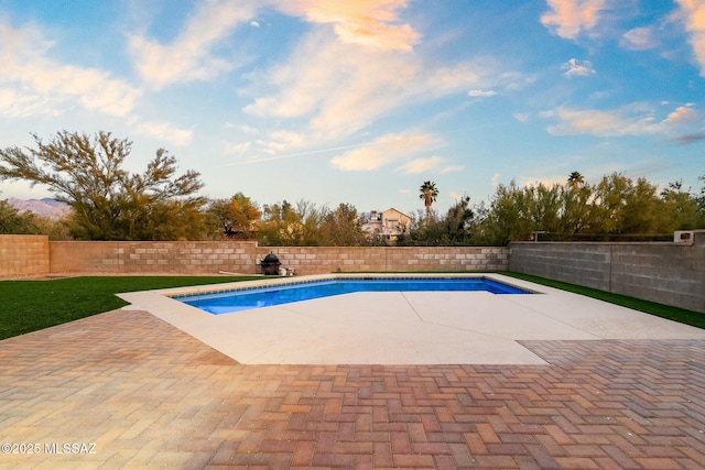 view of pool with a patio area