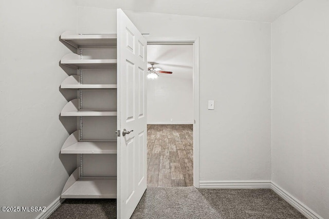 walk in closet featuring dark hardwood / wood-style floors