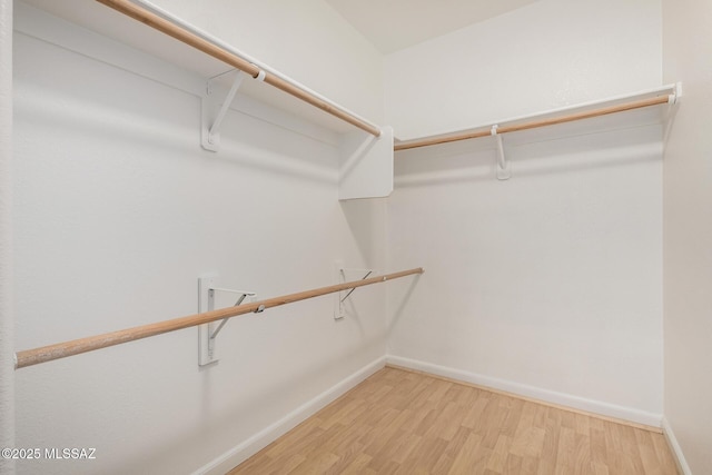 spacious closet featuring light wood-type flooring