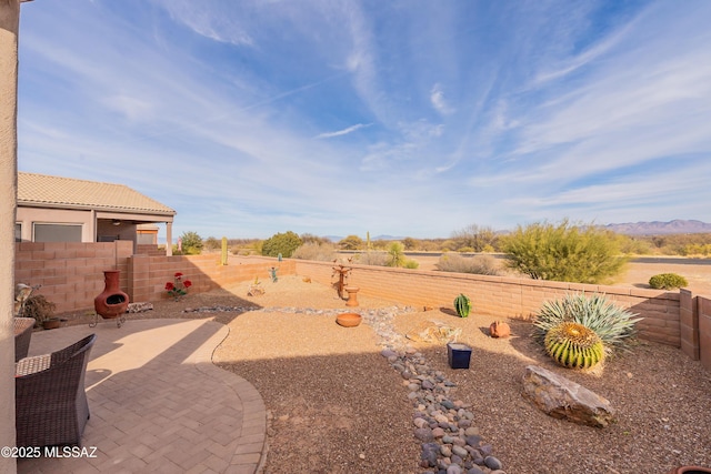 view of yard featuring a patio