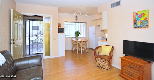 living room featuring light hardwood / wood-style flooring