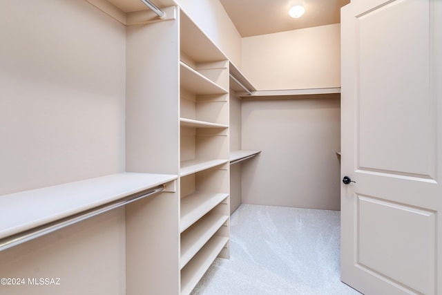 spacious closet featuring light colored carpet