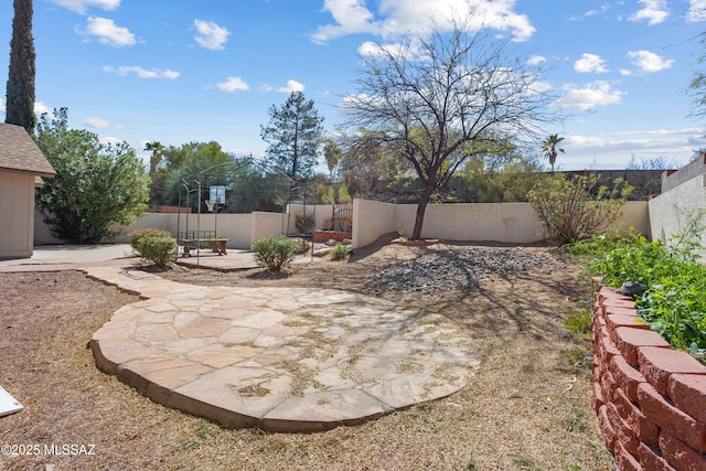 view of yard featuring a patio and a fenced backyard