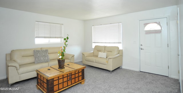 living room featuring carpet flooring