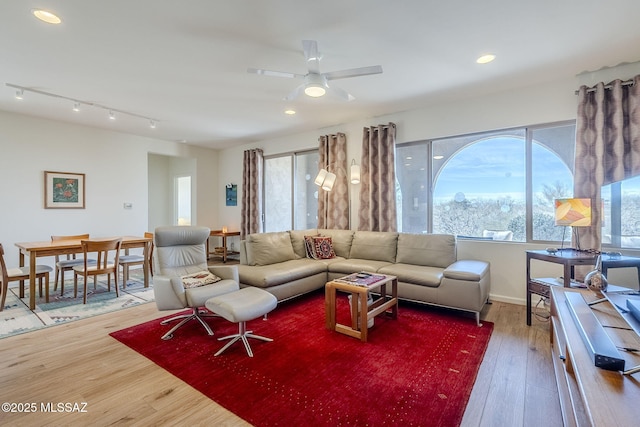 living room with track lighting and wood-type flooring