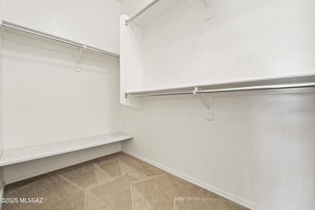 walk in closet featuring light colored carpet