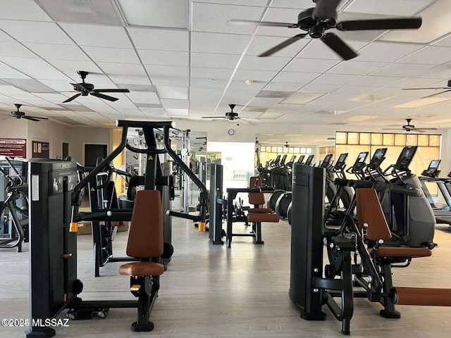 gym with wood-type flooring and a drop ceiling