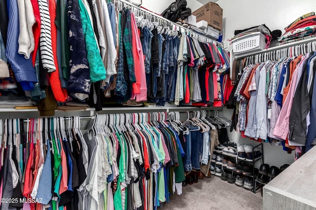 spacious closet with carpet flooring