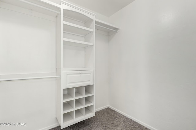 walk in closet featuring dark colored carpet