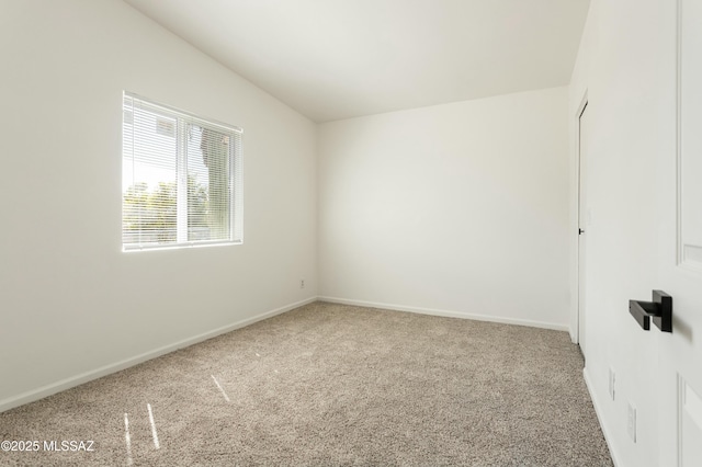 spare room featuring carpet floors