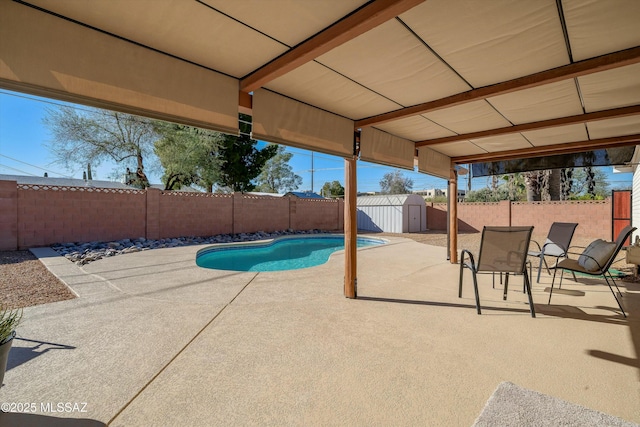 view of pool featuring a patio area and a storage shed