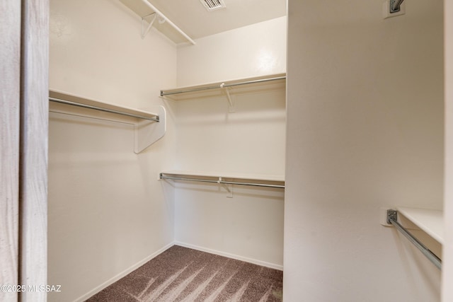 spacious closet with carpet floors