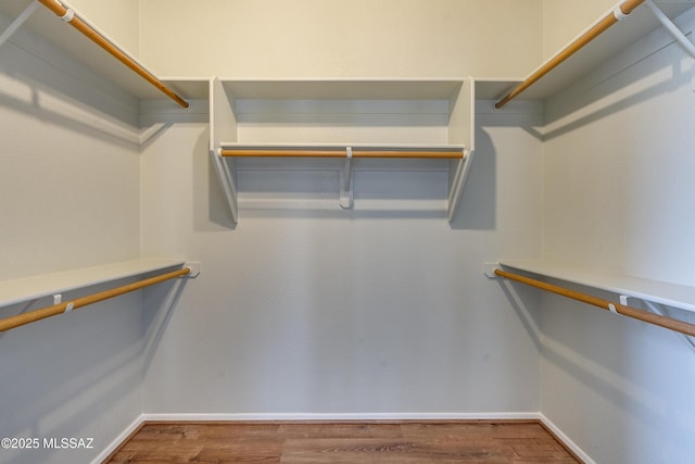 spacious closet featuring wood-type flooring