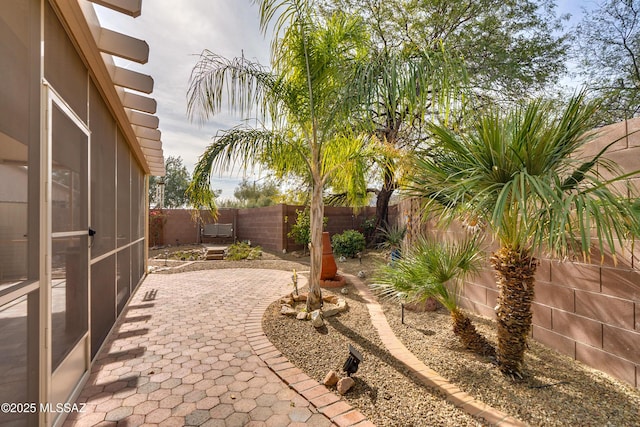 view of yard with a patio area