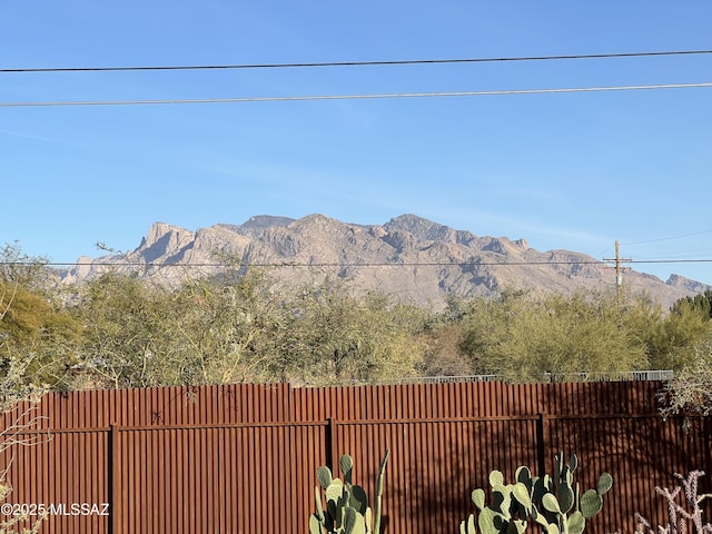 view of mountain feature