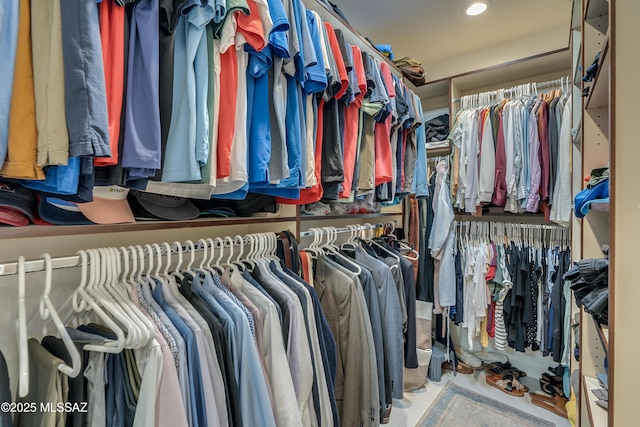 view of walk in closet