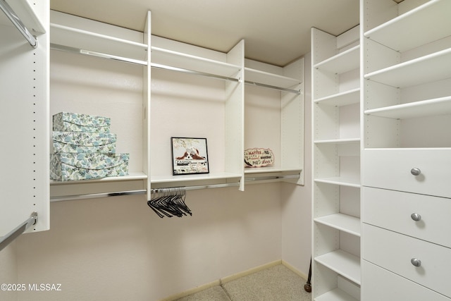 spacious closet with carpet