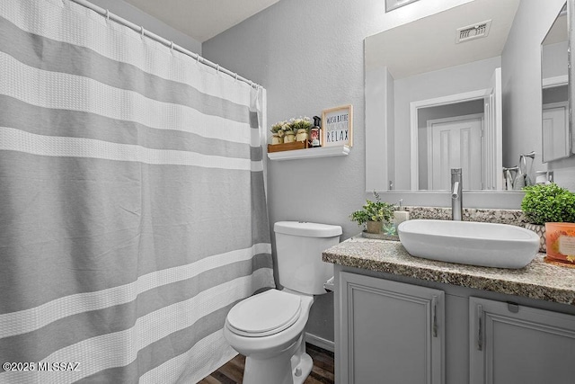 bathroom featuring vanity, toilet, and wood-type flooring