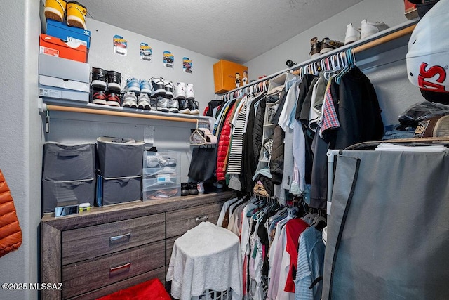view of spacious closet