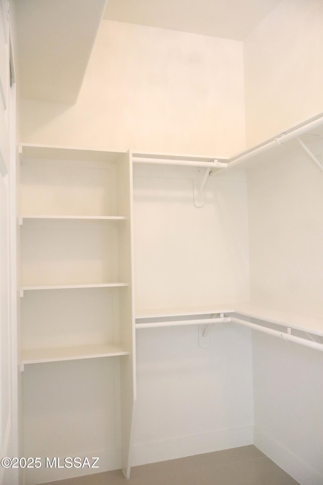 view of walk in closet