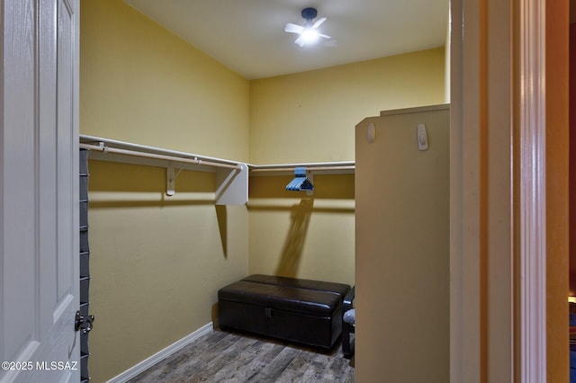 spacious closet featuring wood-type flooring